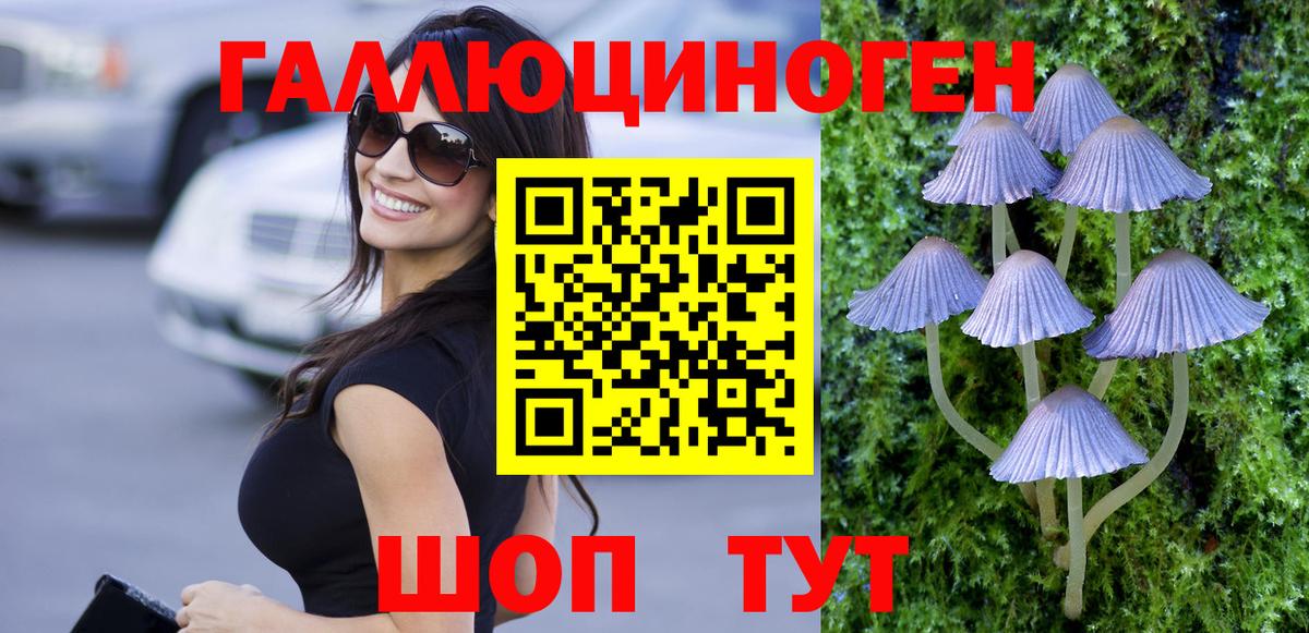 Воронеж  Псилоцибиновые грибы GOLDEN TEACHER  Вход с VPN 