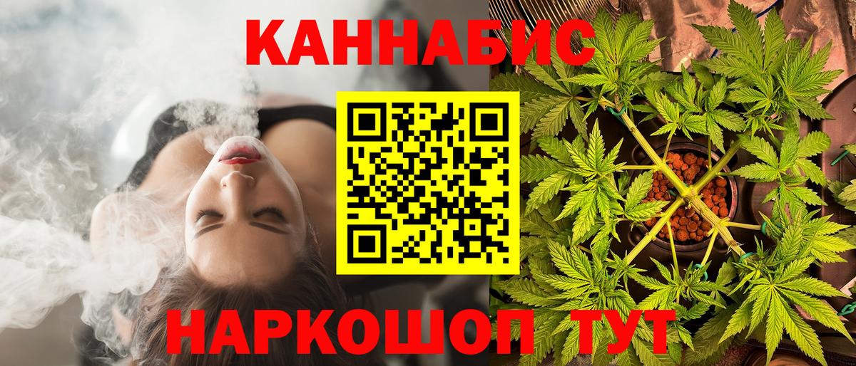 Каннабис OG Kush Воронеж